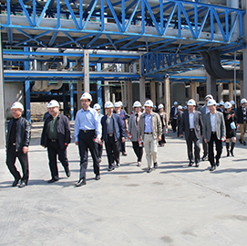 “培育壯大戰(zhàn)略新興產(chǎn)業(yè)促進(jìn)經(jīng)濟(jì)轉(zhuǎn)型” 專(zhuān)題調(diào)研匯報(bào)材料